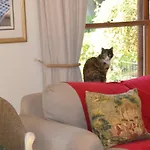 Lovely Family Home In The Winelands