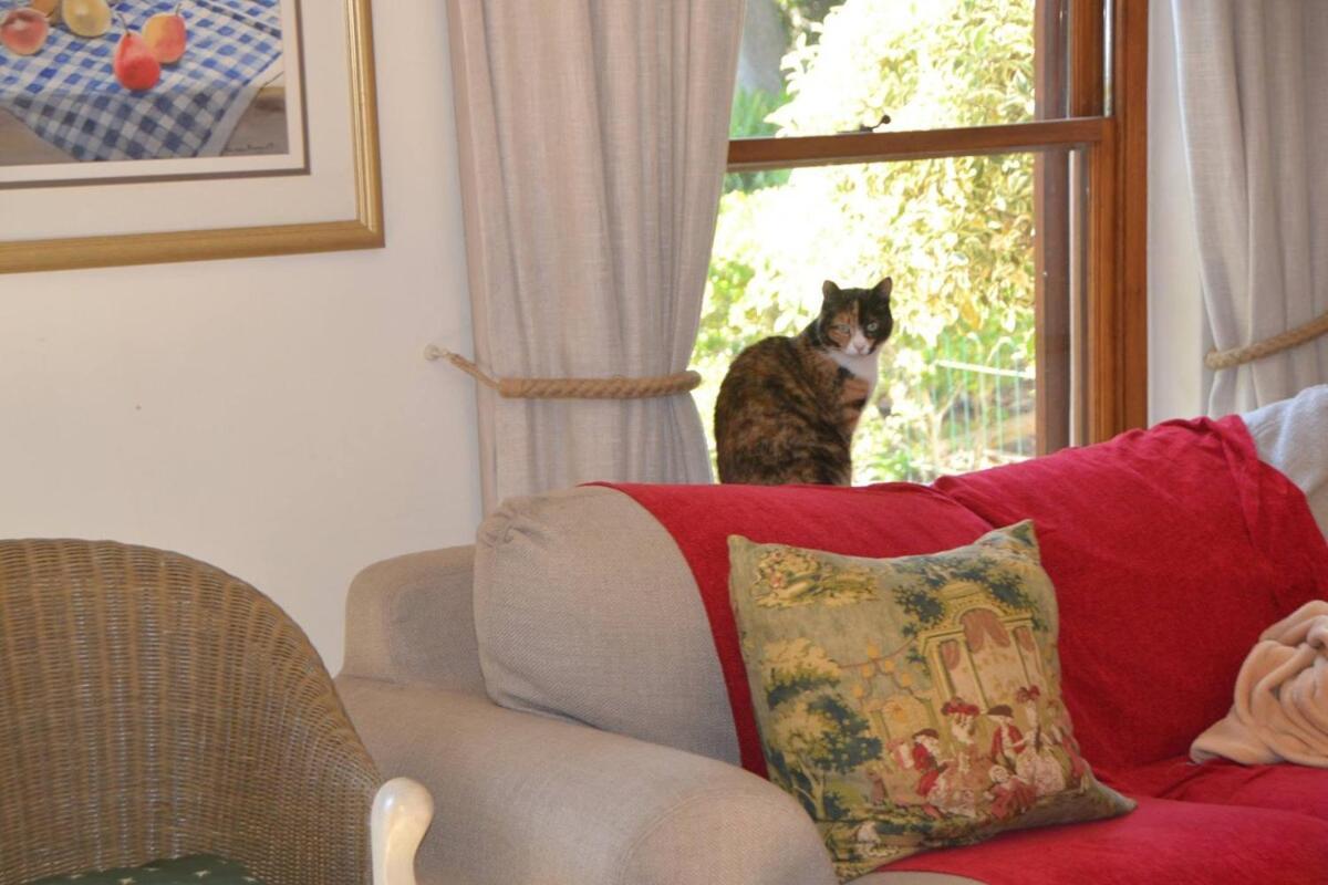 Lovely Family In The Winelands Holiday home